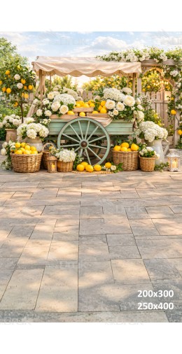 Tło fotograficzne „Elegancki stragan z cytrynami i białymi kwiatami” | 4019